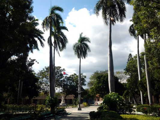 Discovering The Local Cuisine Of Jiguani, Cuba