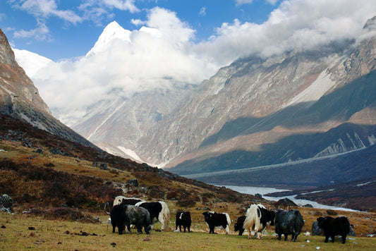 Discovering Longtangwan: A Hidden Gem In China