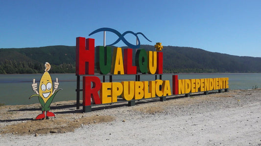 Discover Hualqui: A Hidden Gem In Chile