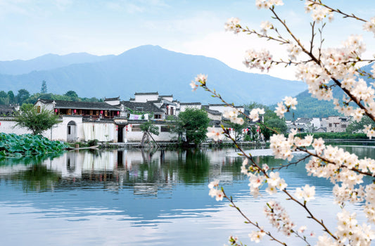 Discovering Xintangcun: A Hidden Gem In China