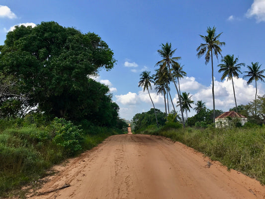 Discovering Manjacaze: A Hidden Gem In Mozambique