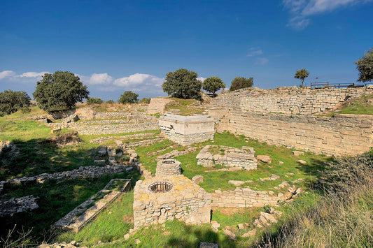 Discovering Troy: The Legendary City Of History And Myth