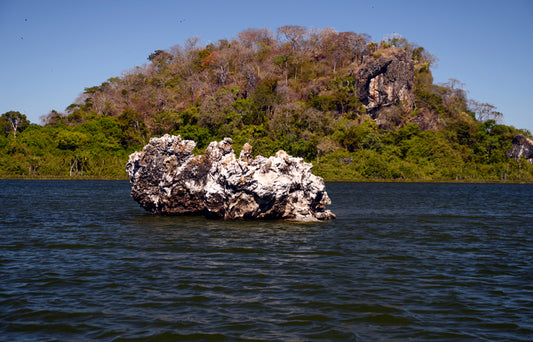 Discovering Lagoa Da Confusão: A Hidden Gem In Brazil