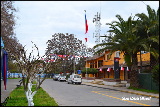 Discovering Quinta De Tilcoco: A Hidden Gem In Chile