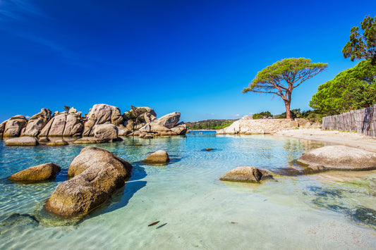 Discovering Corse: A Hidden Gem In The United Kingdom