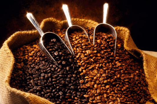 Coffee Culture In Coatepec, Mexico