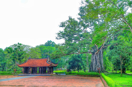 Top 10 Must-visit Attractions In Thanh Hoa