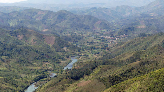 Discovering Ambodinonoka: A Hidden Gem In Madagascar