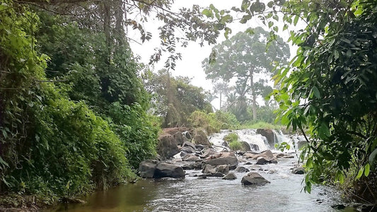 Discovering Belabo: A Hidden Gem In Cameroon