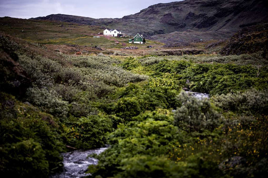 Discover Tasiusaq: A Hidden Gem In Greenland