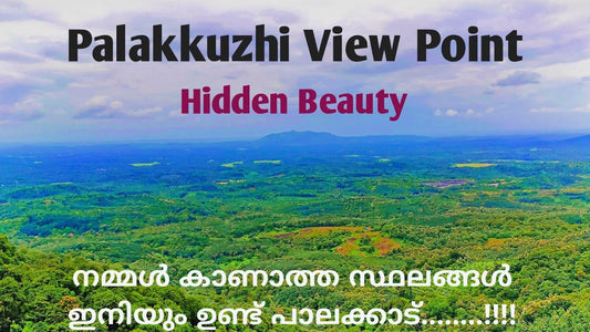 Discovering Palakkuzhi: A Hidden Gem In Kerala