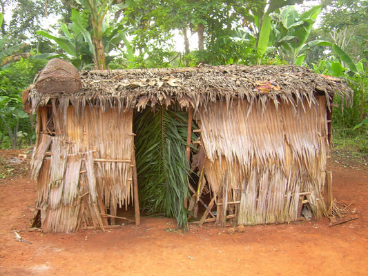 Discover Abong Mbang: A Hidden Gem In Cameroon