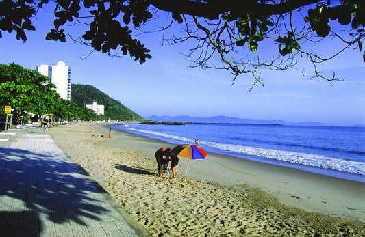 Top 10 Beaches In Itajai, Brazil