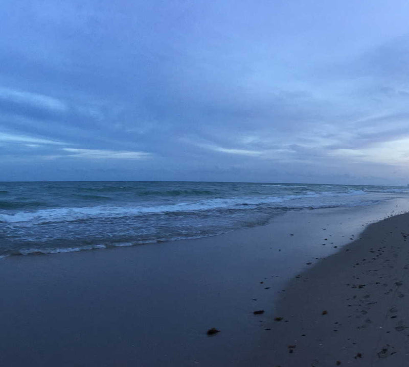 Discovering Broward Estates: A Hidden Gem In The United States