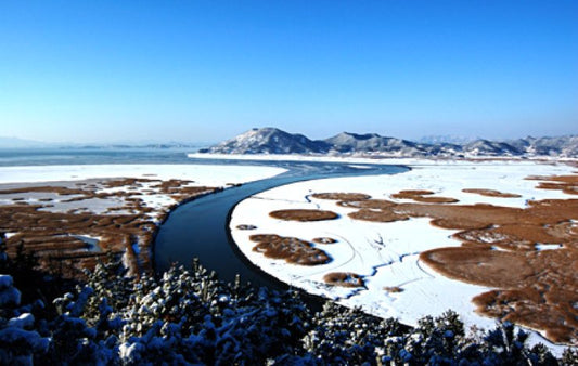 Suncheon Bay Wetland Reserve Guide