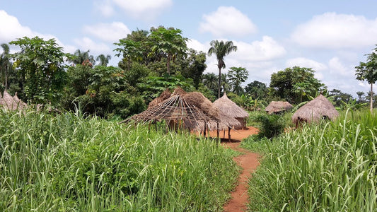 Discovering Zemio: A Hidden Gem In The Heart Of Central African Republic