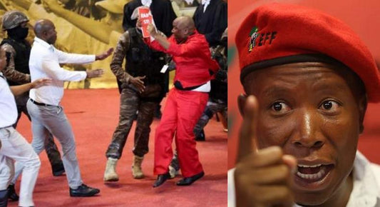 Julius Malema's Influence On South African Politics