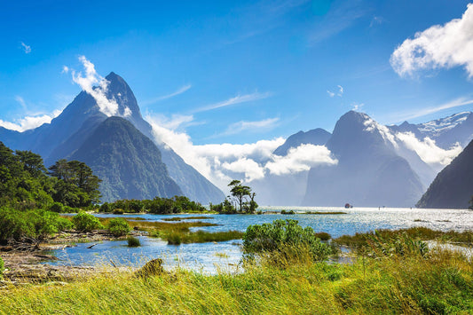 Discovering Milford, New Zealand: A Traveler's Paradise