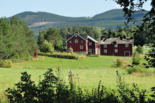 Discovering Bollnäs: A Hidden Gem In Sweden