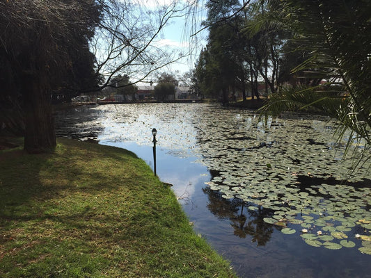 Discovering Kuruman: A Hidden Gem In The Kalahari