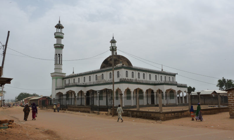 Top Attractions In Garoua: A Hidden Gem In Cameroon