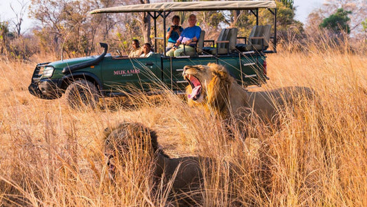 Kafue National Park Wildlife Guide