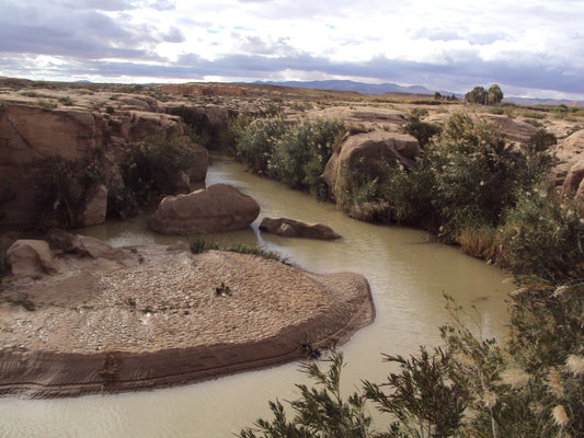 Discovering Sidi Makhlouf: A Hidden Gem In Tunisia