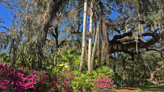 Discovering Azalea Park: A Hidden Gem For Nature Lovers