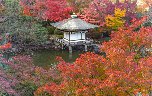 Wakayama's Hidden Temples: A Spiritual Odyssey