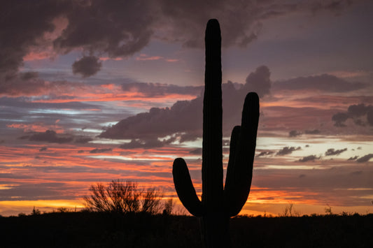 Best Hiking Trails In Tucson