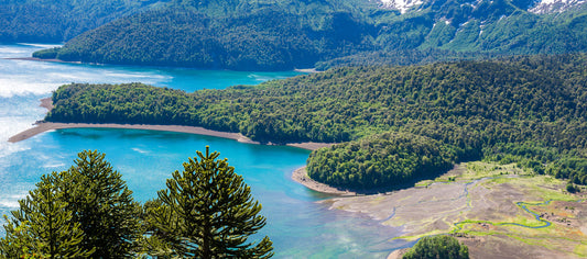 Discover Temuco: A Hidden Gem In Southern Chile