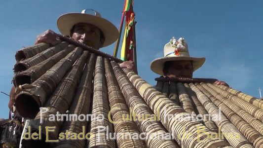 Discovering San Ignacio De Moxo: A Hidden Gem In Bolivia