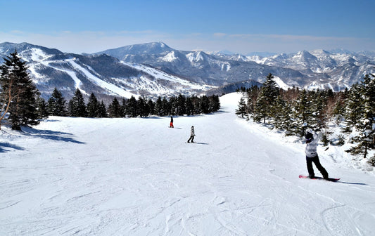 Nagano Winter Sports Guide