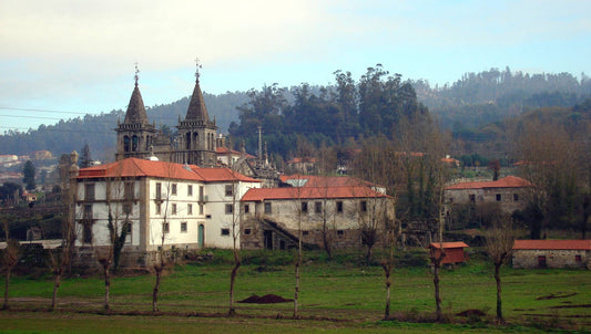 Discovering Felgueiras: A Hidden Gem In Portugal