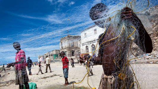 Culinary Experiences In Mogadishu