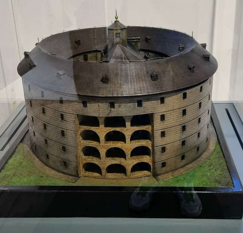 Exploring Vienna's Pathological Museum: Unusual Anatomical Displays