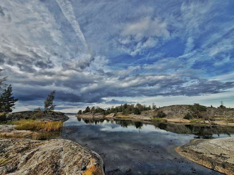 Foraging Wild Edibles on St. Anna's Isles: A Culinary Adventure