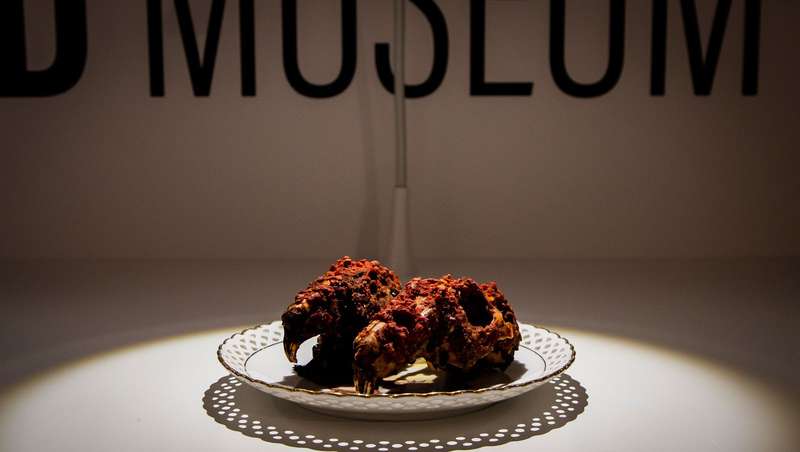 Sweden's Disgusting Food Museum: A Test of Culinary Courage