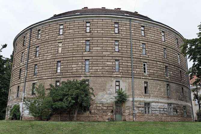 Exploring Vienna's Fascinating Pathology Museum
