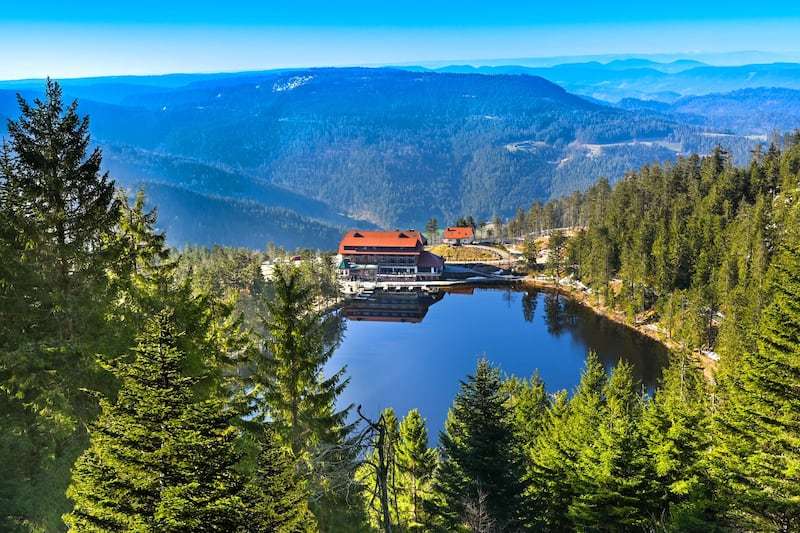 Exploring the Craftsmanship of Black Forest Cuckoo Clocks