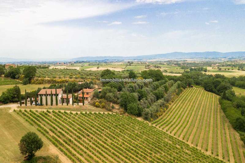 Artisan Workshops at Italian Wine Estates: A Unique Experience