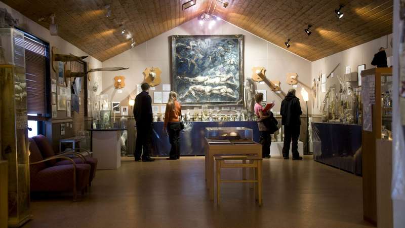 Sculpting Giants: Inside Iceland's Whale Penis Installation