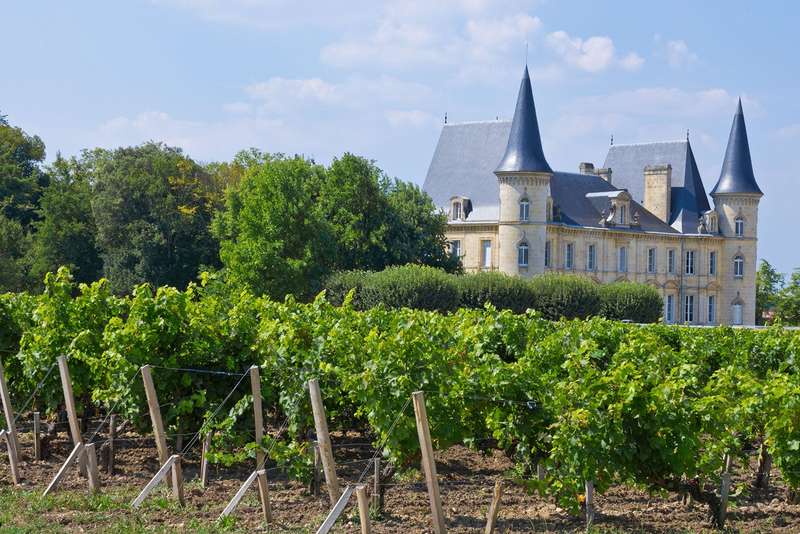 Exploring Bordeaux's Vineyards by Train: The Vineyards Express