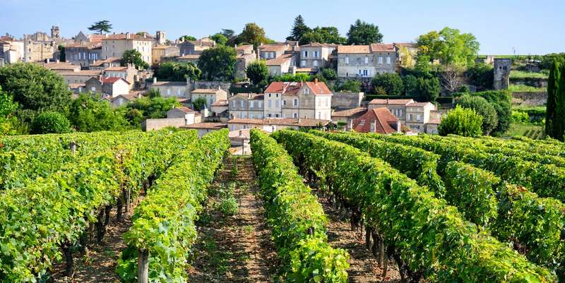 Exploring Bordeaux's Vineyards Aboard The Vineyards Express
