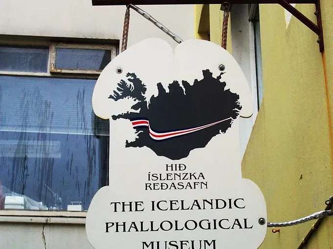 Rare Specimens at Iceland's Phallological Museum