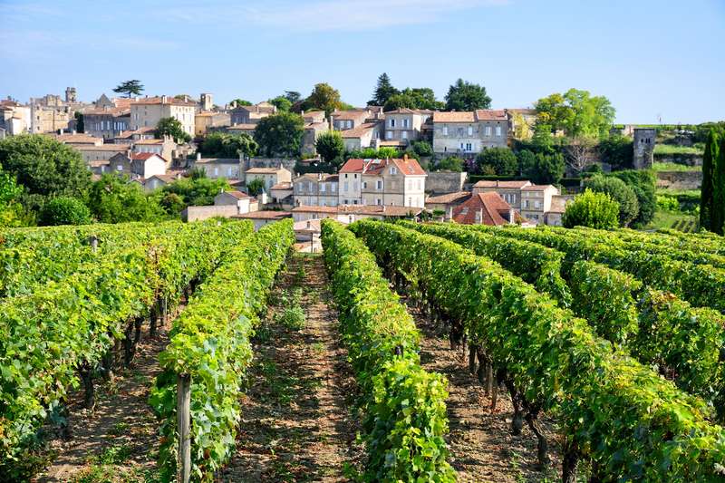 Exploring Bordeaux's Vineyards by Train: A Scenic Journey