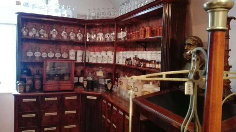 Exploring Vienna's Pathological Museum: Insights into Human Anatomy