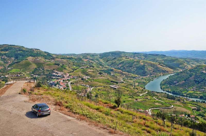 Grape Harvest Festival in Douro Valley: A Day of Tradition