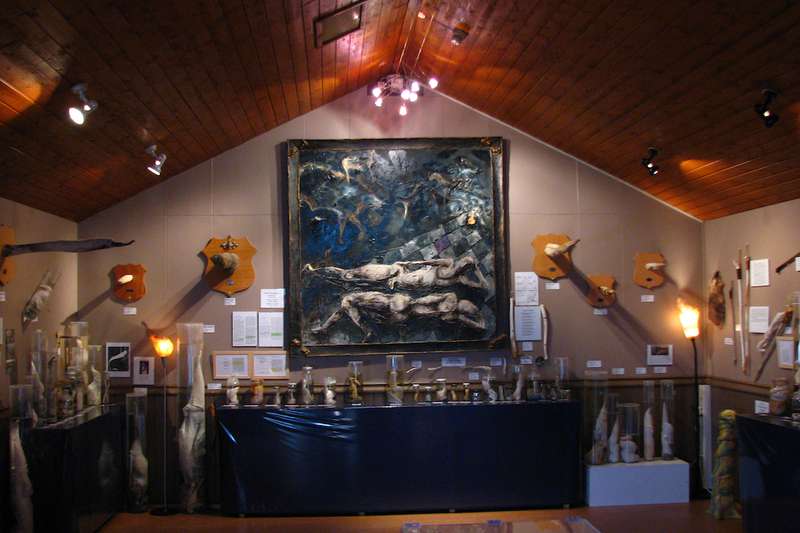 Inside Iceland's Phallological Museum: A Curator's Perspective