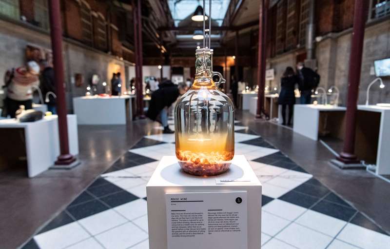 Exploring Sweden's Disgusting Food Museum: A Taste of the Unusual